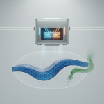 Psychrometric Stabilization for River Oaks Mixed-Use HVAC Systems: Preventing Post-Flood Mycotoxins