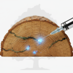 The Cypress Protocol in League City: Surgical Mycotoxin Neutralization for Century-Old Timber Frames