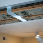 The Cold-Bridge Effect: Mitigating Attic-Plenum Mold in Missouri City Mid-Century Residences