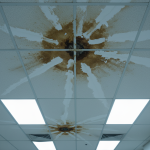 A close-up of a commercial ceiling with multiple acoustic tiles showing distinct brown water stains, indicating significant water damage. These damaged tiles can lose their sound absorption and critically, void their Class A fire rating, which painting over them will not fix.