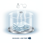 Freeze drying wet documents process