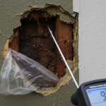 EIFS synthetic stucco rot probe test