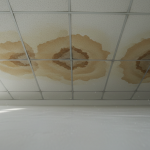 Sagging acoustic ceiling tiles humidity