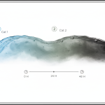 Water damage category degradation timeline
