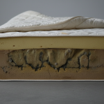 Wet mattress cross section mold risk