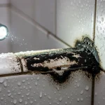Black Mold in Shower Houston — 247 Restoration Specialists, Houston, Texas