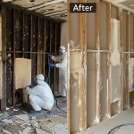 Mold Remediation Houston: 2026 Cost Guide, What's Included, and Red Flags to Watch — 247 Restoration Specialists Houston TX