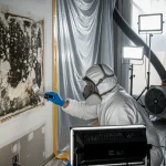 Mold Remediation Near Me: How to Choose a Houston Company (and Not Get Overcharged) — 247 Restoration Specialists Houston TX